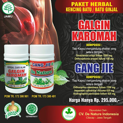 obat kencing batu, obat batu ginjal, cara menghilangkan kencing batu, obat penghancur batu ginjal